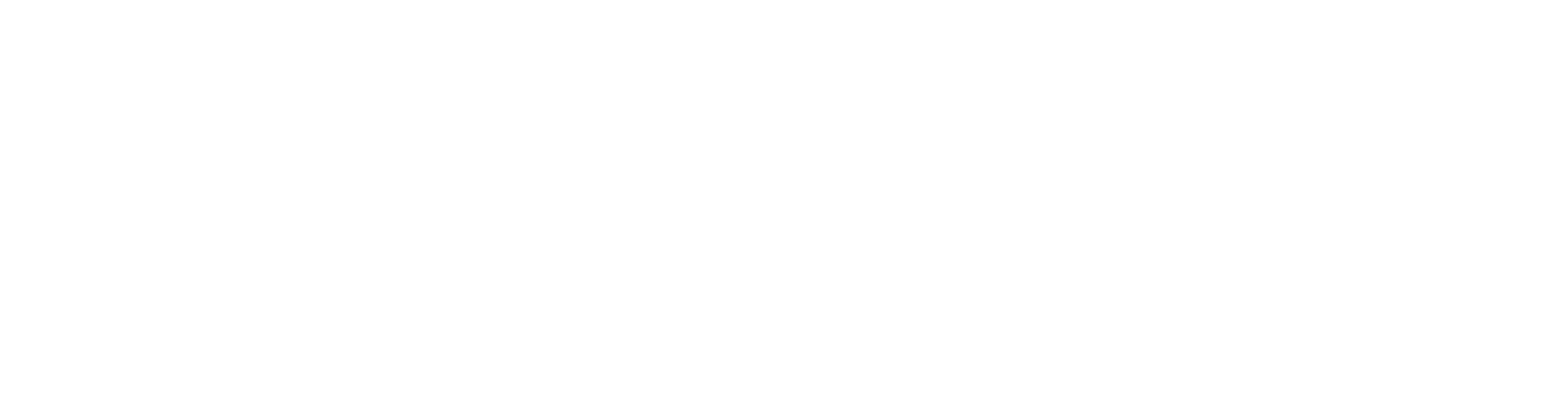 Web Developer and Designer